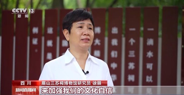 kaiyun体育“三苏”在唐宋八民众中占据三席-开元ky888网址进入下载