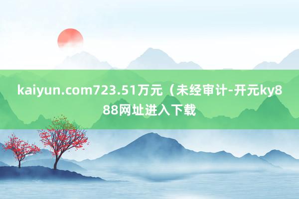 kaiyun.com723.51万元（未经审计-开元ky888网址进入下载