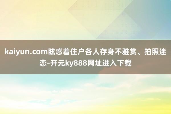 kaiyun.com眩惑着住户各人存身不雅赏、拍照迷恋-开元ky888网址进入下载