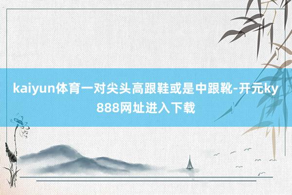 kaiyun体育一对尖头高跟鞋或是中跟靴-开元ky888网址进入下载