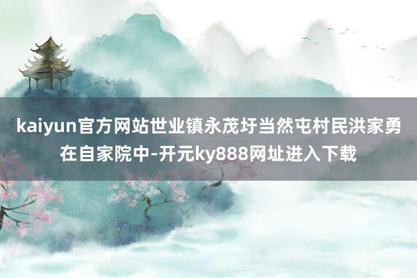 kaiyun官方网站世业镇永茂圩当然屯村民洪家勇在自家院中-开元ky888网址进入下载