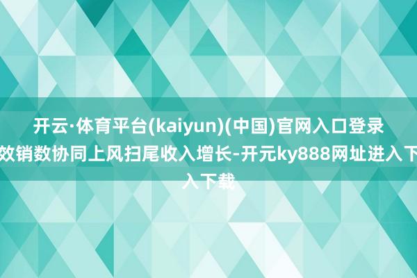 开云·体育平台(kaiyun)(中国)官网入口登录　　品效销数协同上风扫尾收入增长-开元ky888网址进入下载