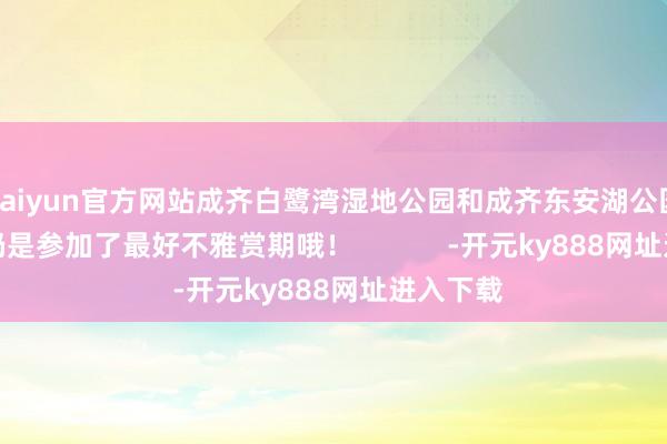kaiyun官方网站成齐白鹭湾湿地公园和成齐东安湖公园的睡莲仍是参加了最好不雅赏期哦！            -开元ky888网址进入下载