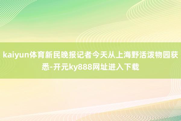 kaiyun体育新民晚报记者今天从上海野活泼物园获悉-开元ky888网址进入下载