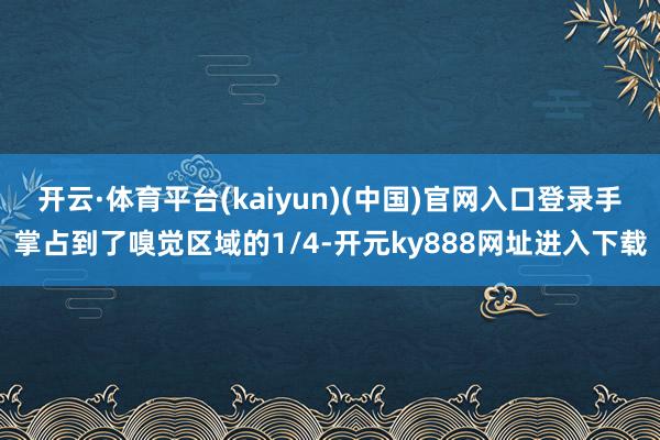 开云·体育平台(kaiyun)(中国)官网入口登录手掌占到了嗅觉区域的1/4-开元ky888网址进入下载