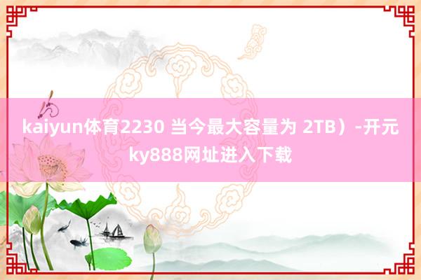 kaiyun体育2230 当今最大容量为 2TB）-开元ky888网址进入下载