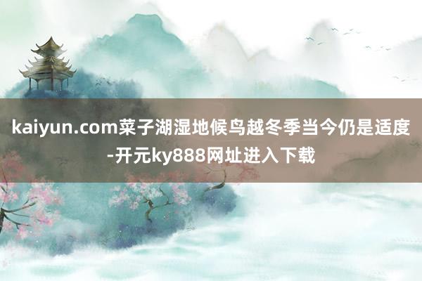 kaiyun.com菜子湖湿地候鸟越冬季当今仍是适度-开元ky888网址进入下载