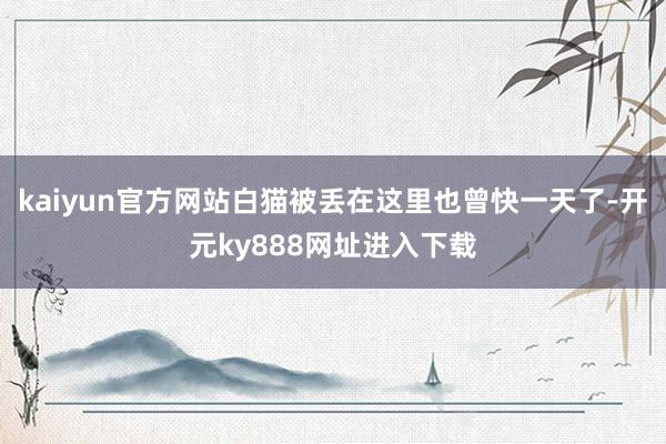 kaiyun官方网站白猫被丢在这里也曾快一天了-开元ky888网址进入下载