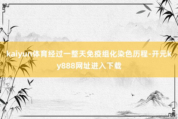 kaiyun体育经过一整天免疫组化染色历程-开元ky888网址进入下载