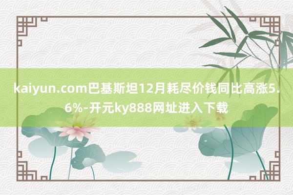 kaiyun.com巴基斯坦12月耗尽价钱同比高涨5.6%-开元ky888网址进入下载