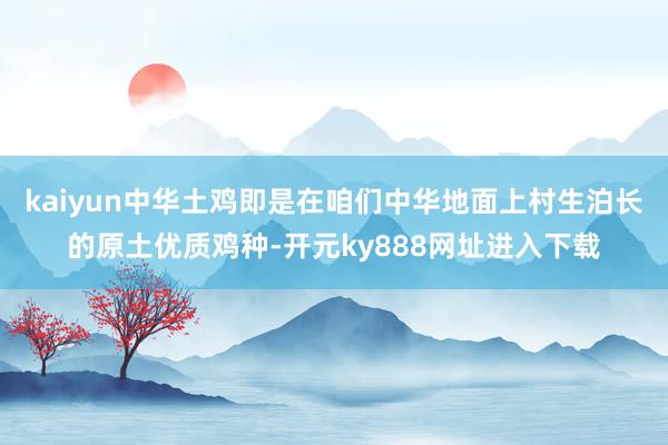 kaiyun中华土鸡即是在咱们中华地面上村生泊长的原土优质鸡种-开元ky888网址进入下载